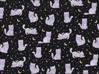 Katzen schwarz Katzen schwarz