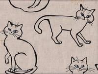 Fat Cat natur Fat Cat natur