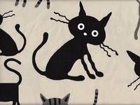 Mäx weiß Mäx weiß