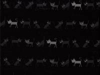 Filou schwarz Filou schwarz