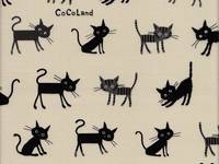 Felix weiß Felix weiß