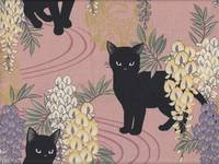 Katzen & Wisteria coral Katzen & Wisteria coral