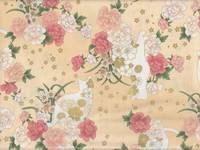 Hana neko apricot Hana neko apricot