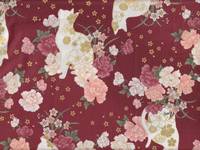 Hana neko rot Hana neko rot