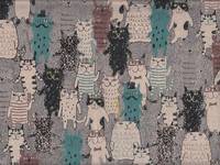 Miyako cat grau Miyako cat grau