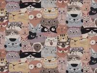 Tume - Katzen braun Tume - Katzen braun