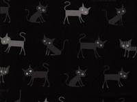 Felix schwarz Felix schwarz