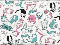 Katzen weiß Katzen weiß