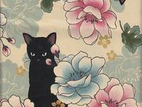 Katzen & Blumen weiß Katzen & Blumen weiß