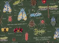 Insect Encyclopedia grün
