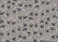 Möpse hellgrün Möpse hellgrün