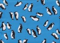 Pinguin blau Pinguin blau