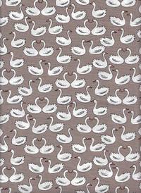 Schwäne braun Schwäne braun