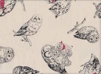 Eulen natur Eulen natur