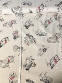 Eulen natur Eulen natur