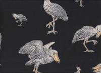 Schuhschnabel schwarz Schuhschnabel schwarz