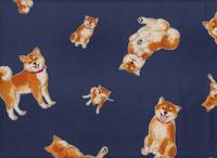 Shiba Inu blau Shiba Inu blau