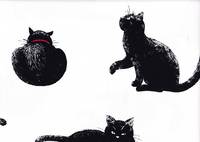 Katzen groß weiß Katzen groß weiß