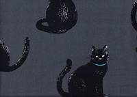 Katzen groß grau Katzen groß grau