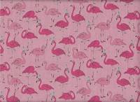 Flamingo rosa Flamingo rosa