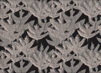 Forest black Forest black