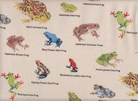 Amphibians Encyclopedia natur Amphibians Encyclopedia natur