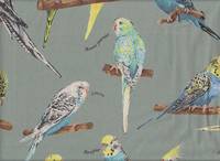 Parakeet light green Parakeet light green