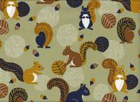 Eichhörnchen grün Eichhörnchen grün