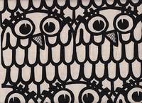 Eulen natur Eulen natur