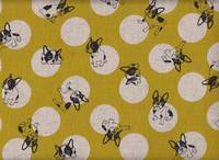 Bully & Dots gelb Bully & Dots gelb