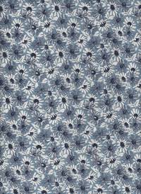 Daisy blau Daisy blau