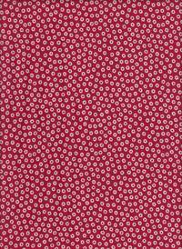 Daisy red Daisy red