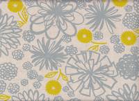 Dandelion grau Dandelion grau