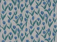 Tulpe grau Tulpe grau