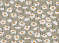 Daisy beige Daisy beige