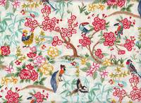 Insel natur Insel natur