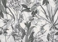 Herb flower white Herb flower white