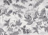 Blätter schwarz (Lawn) Blätter schwarz (Lawn)