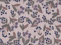 Blueberry branch nature Blueberry branch nature