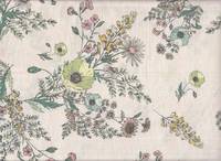 Blumen creme (Lawn) Blumen creme (Lawn)