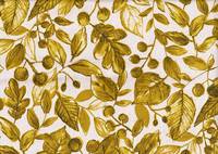 Autumn leaves yellow Autumn leaves yellow