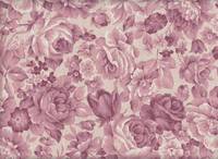 Rosen pink Rosen pink