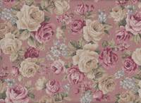 Old Rose rosa Old Rose rosa