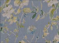 Wildblumen hellblau Wildblumen hellblau