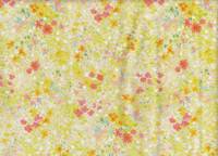 Wonderful Garden yellow Wonderful Garden yellow