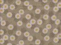 Daisy moss green Daisy moss green