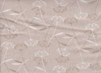 Dandelion nature Dandelion nature