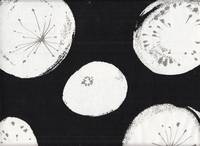 Cotton flower black Cotton flower black