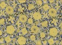 Blumen gelb Blumen gelb