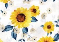 Sonnenblumen weiß Sonnenblumen weiß